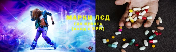 шишки Покачи