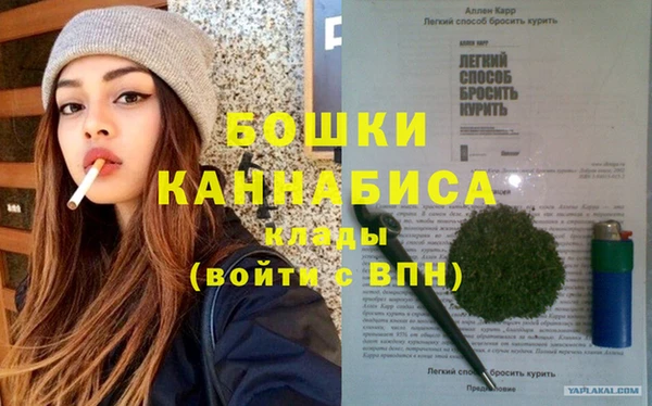 шишки Покачи