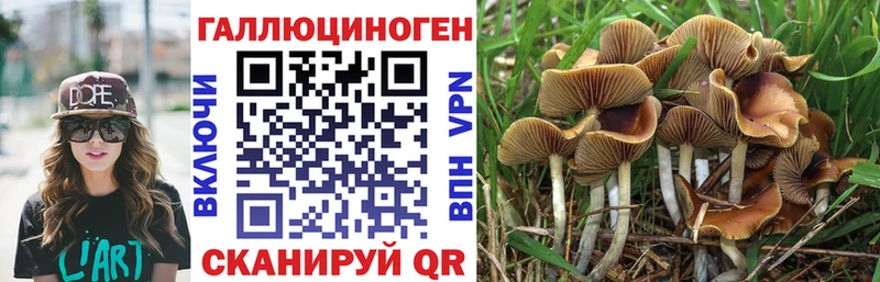 Псилоцибиновые грибы мухоморы  omg как войти  Новомичуринск  купить наркотик 